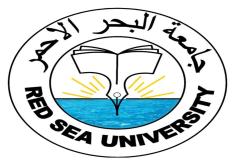 مركز تنمية  المرأة